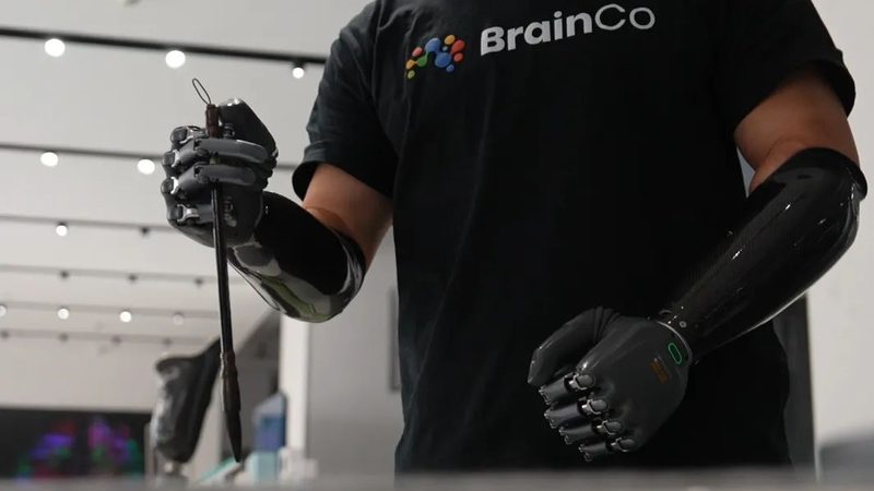 企业搜索安全配置：构建安全高效的搜索生态**