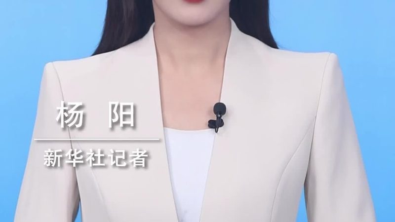 以一家制造企业为例，其CRM系统需求如下：